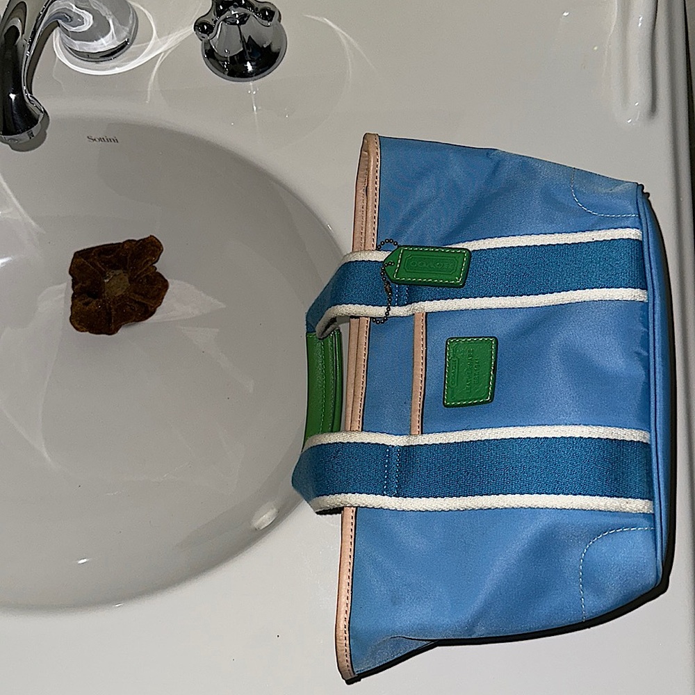 Small Blue&Green Canvas mini tote purse 🦋💚